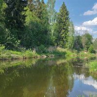 Речка Протва :: Людмила Смородинская