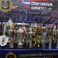 О спортивных достижениях :: Ольга 