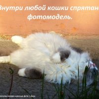 Разве не так? :: svk *