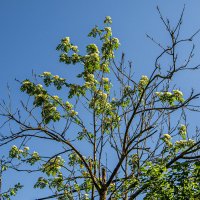 Контрасты природы. :: Петр Беляков