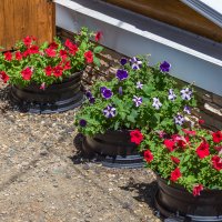 Жалко было выкидывать диски от колес :: Игорь Сикорский