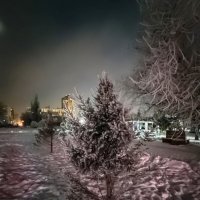 сказочная елочка :: Андрей Петренко