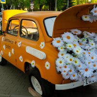 Фотозона :: Светлана Мишенёва