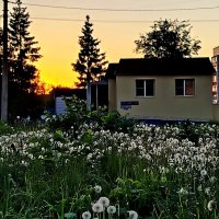 вечернее настроение :: светлана льдокова
