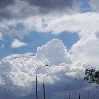 Перед майским дождём :: Татьяна Пальчикова