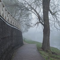 Туманное утро :: Виктор Желенговский