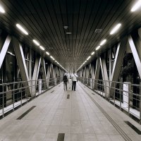 Переходы на МЦД. :: Татьяна Помогалова