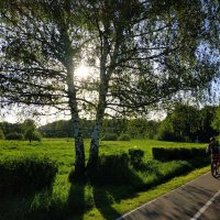 Мои братья по разуму :: Андрей Лукьянов