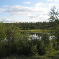 Лето :: Anna Ivanova Лето :: Anna Ivanova