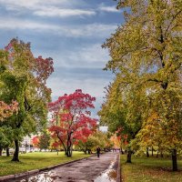 Сквер :: SanSan 