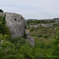 Природа Крыма :: Amazing Cosmea Природа Крыма :: Amazing Cosmea
