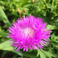 ,,, :: Сергей Тимоновский