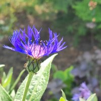 ,,, :: Сергей Тимоновский