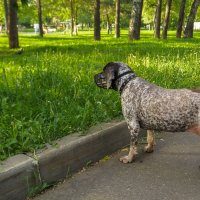 Мечтатель :: юрий поляков
