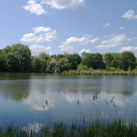 Майский пейзаж :: Рита Симонова Майский пейзаж :: Рита Симонова