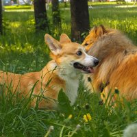 ***** :: юрий поляков ***** :: юрий поляков