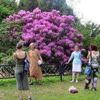 Красота тянется к красоте :: Александр Чеботарь Красота тянется к красоте :: Александр Чеботарь