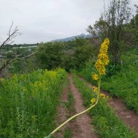 Talgar. :: Murat Bukaev 