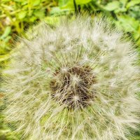 ***** :: Алексей Архипов ***** :: Алексей Архипов