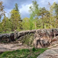 ВПКиО на Батарейной горе. :: Лия ☼