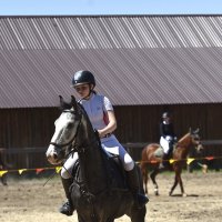 Грация и Красота! :: Александр Гриднев