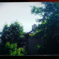 Дом в зелёном. :: Игорь Солдаткин