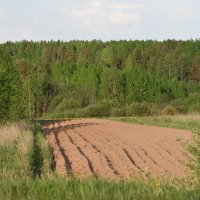 что посеешь, то и пожнёшь :: vg154 что посеешь, то и пожнёшь :: vg154