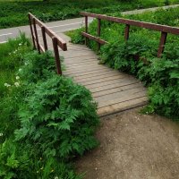 * * * :: Андрей Лукьянов