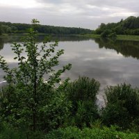 * * * :: Андрей Лукьянов