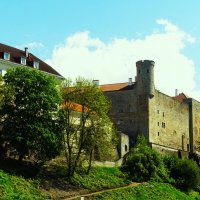 Тоомпеа накануне лета :: Aida10 