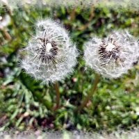 Полетели! :: Veera V Полетели! :: Veera V