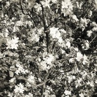 Назва. отсу. :: Денис Безногов