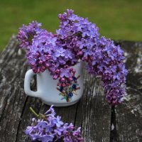 Сиреневый мотивчик :) :: Татьян@ Ивановна