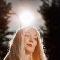 Солнышко :: Aleksey Zaikin