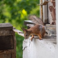 ___ :: Yuriy V ___ :: Yuriy V