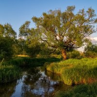 Родные берега 3 :: Андрей Дворников Родные берега 3 :: Андрей Дворников