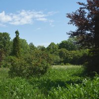 Ботанический сад 02 :: Олег Манаенков