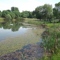 Пруд :: Лютый Дровосек Пруд :: Лютый Дровосек