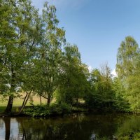 На городском пруду... :: Николай Гирш