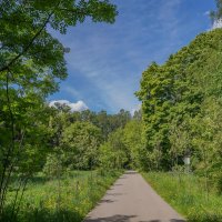 В конце мая... :: Владимир Жданов В конце мая... :: Владимир Жданов