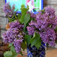 Букет сирени. :: Михаил Столяров