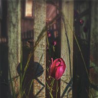 Побег :: AZ east3 Побег :: AZ east3