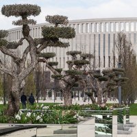 Парк Галицкого :: Евгений Кудинов