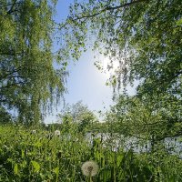 лето :: Галина R... лето :: Галина R...