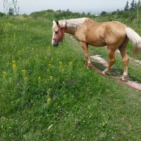 Talgar. :: Murat Bukaev 