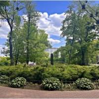 В весеннем парке. :: Валерия Комова