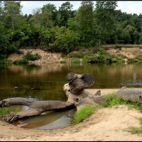 ...чудище... :: Aleksandr Gal