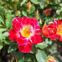 ,,, :: Сергей Тимоновский