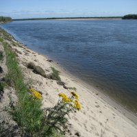 Лето :: Anna Ivanova