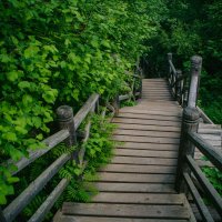 Плёс. Маленький городок на Волге. Май 2025 :: Вячеслав Владимирович